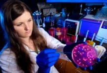 Microbiologist Job @ Dr. Reddy’s | Apply Online