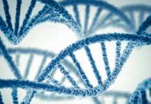 Bioinformatics JRF Jobs ICAR