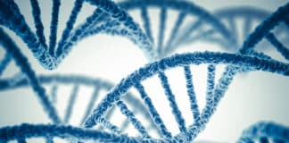 Bioinformatics JRF Jobs ICAR