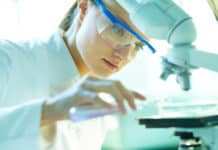 SRF Vacancy for MSc Candidates @ NBAIR