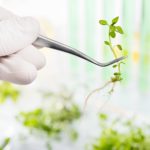 Freshers Job @ Reliance | Exclusively hiring for Germplasm RS Scientist Post Life Sciences & Biotech Project Fellow Posts @ Assam