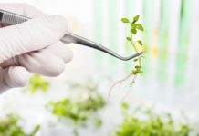Life Sciences & Biotech Project Fellow Posts @ Assam