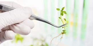 Life Sciences & Biotech Project Fellow Posts @ Assam