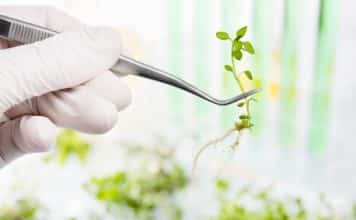 Life Sciences & Biotech Project Fellow Posts @ Assam