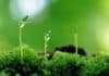 SRF Vacancy For Biotech / Microbio Candidates @ Central Soil Salinity Research Institute