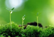 SRF Vacancy For Biotech / Microbio Candidates @ Central Soil Salinity Research Institute