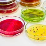 Boost or Bust? Scientists find Potential Weapon against Antibiotic Resistance