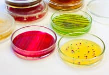 Boost or Bust? Scientists find Potential Weapon against Antibiotic Resistance