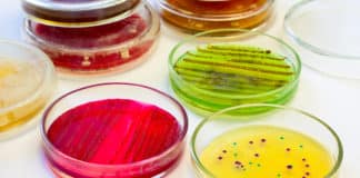 Boost or Bust? Scientists find Potential Weapon against Antibiotic Resistance