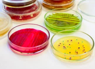 Boost or Bust? Scientists find Potential Weapon against Antibiotic Resistance Boost or Bust? Scientists find Potential Weapon against Antibiotic Resistance