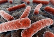 J&J Teams Up With CSIR-IMTECH To Develop Innovative New Tuberculosis Treatments Life Sciences Graduate Job Vacancy @ ICMR-NIRT