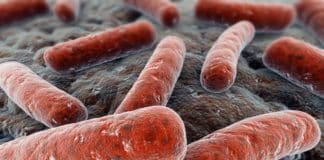 Life Sciences Graduate Job Vacancy @ ICMR-NIRT