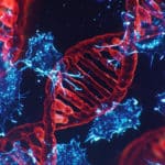 Scientist (Microbiology) Posts Vacant @ SCTIMST