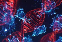 PanCancer Atlas Reveals Utterly Complex Nature of Cancer Scientist (Microbiology) Posts Vacant @ SCTIMST