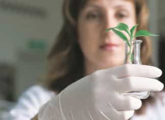 Rafi Ahmed Kidwai Award for Outstanding Research in Agricultural Sciences – 2016