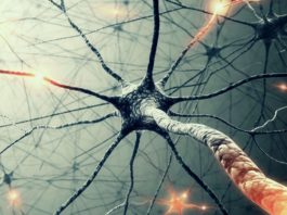 IBRO-APRC Associate School on Advances in Molecular