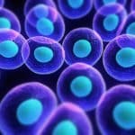 Scientists Trigger Endocytosis on Demand by ‘Hotwiring’ Cells