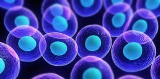 Scientists Trigger Endocytosis on Demand by ‘Hotwiring’ Cells