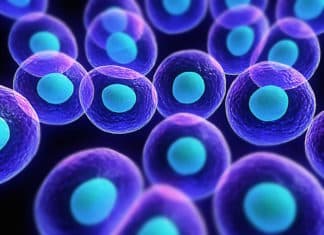 Scientists Trigger Endocytosis on Demand by ‘Hotwiring’ Cells