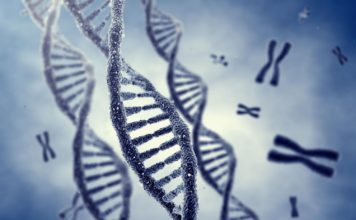 JRF Post @ SRM University