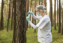Biodiversity Park Programme - CEMDE