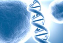 Work as Research Fellow @ Punjab University in Dept of Microbial Biotechnlogy