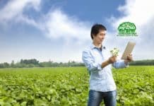 NASI Sponsored Research Project Positions @ BSI