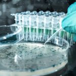 Researches Use AI to Quickly and Accurately Identify Bacteria