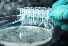 Researches Use AI to Quickly and Accurately Identify Bacteria Researches Use AI to Quickly and Accurately Identify Bacteria