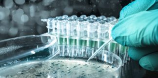 Researches Use AI to Quickly and Accurately Identify Bacteria