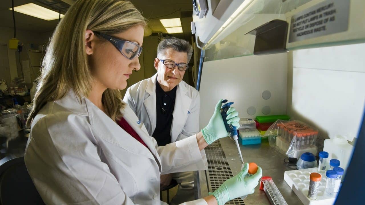 gmo detection methods thesis gmo detection methods thesis