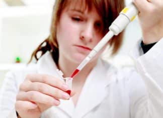 Research Fellowship for MSc Candidates
