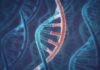 SRF Vacancy in Structural Genomics Project @ Jamia Millia Islamia, New Delhi