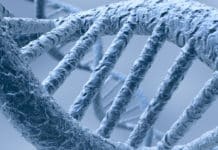 BSc & MSc Life Sciences Jobs @ National Cancer Tissue Biobank