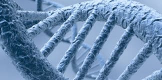 BSc & MSc Life Sciences Jobs @ National Cancer Tissue Biobank