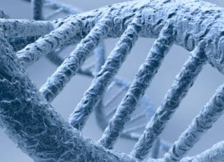 BSc & MSc Life Sciences Jobs @ National Cancer Tissue Biobank
