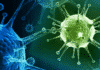 Microbiome-based Biotech Enterome Scores $38.5M in Series D Freshers Job : Research Associate (Microbial Testing) @ Baxter