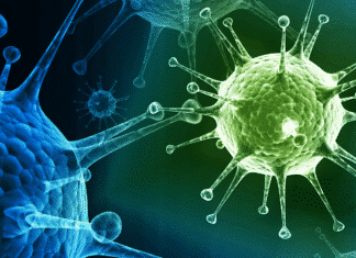 Microbiome-based Biotech Enterome Scores $38.5M in Series D Freshers Job : Research Associate (Microbial Testing) @ Baxter