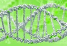 QIAGEN Scientist Jobs