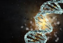 MSc Research Associate/Associate Scientist Post Vacant @ Syngene