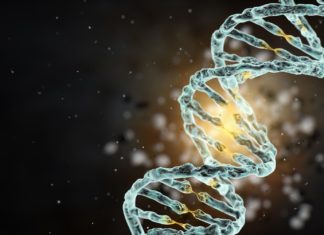 Intensive Hands on Workshop on Human Genome and Transcriptome Data Analysis @ CSBMM, Yenepoya University MSc Research Associate/Associate Scientist Post Vacant @ Syngene