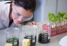 Work in Dept of Agriculture, Govt of West Bengal | Bio science Graduates Eligible