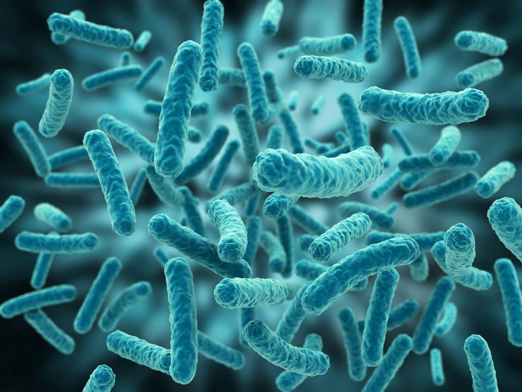 Microscope-Based AI Could Alleviate Shortage of Clinical  Microbiologists