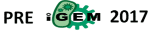 igem2