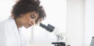 PhD Biotech/Mol Bio & Microbiology Research Job @ IIT Roorkee