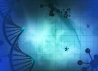 MSc Microbiology Project Assistant Post Vacant @ CSIR-CSMCRI