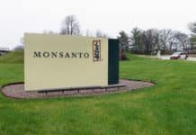 Monsanto Hiring | Asia/Africa Global Breeding Data Analyst Post Vacant