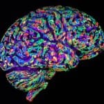 Cancer Drug Could Offer Potential Treatment for Huntington’s disease