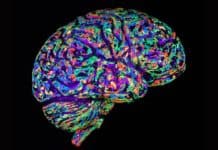 Cancer Drug Could Offer Potential Treatment for Huntington’s disease Cancer Drug Could Offer Potential Treatment for Huntington’s disease