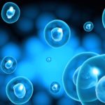 PhD Cell & Molecular Biology Research Associate Post @ JNU